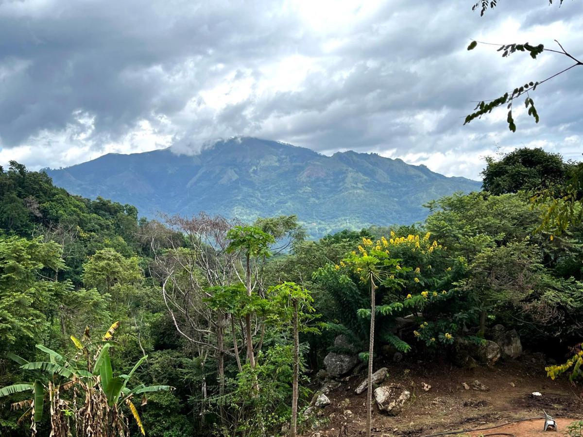 Ella Nine Peaks Hotel Bagian luar foto